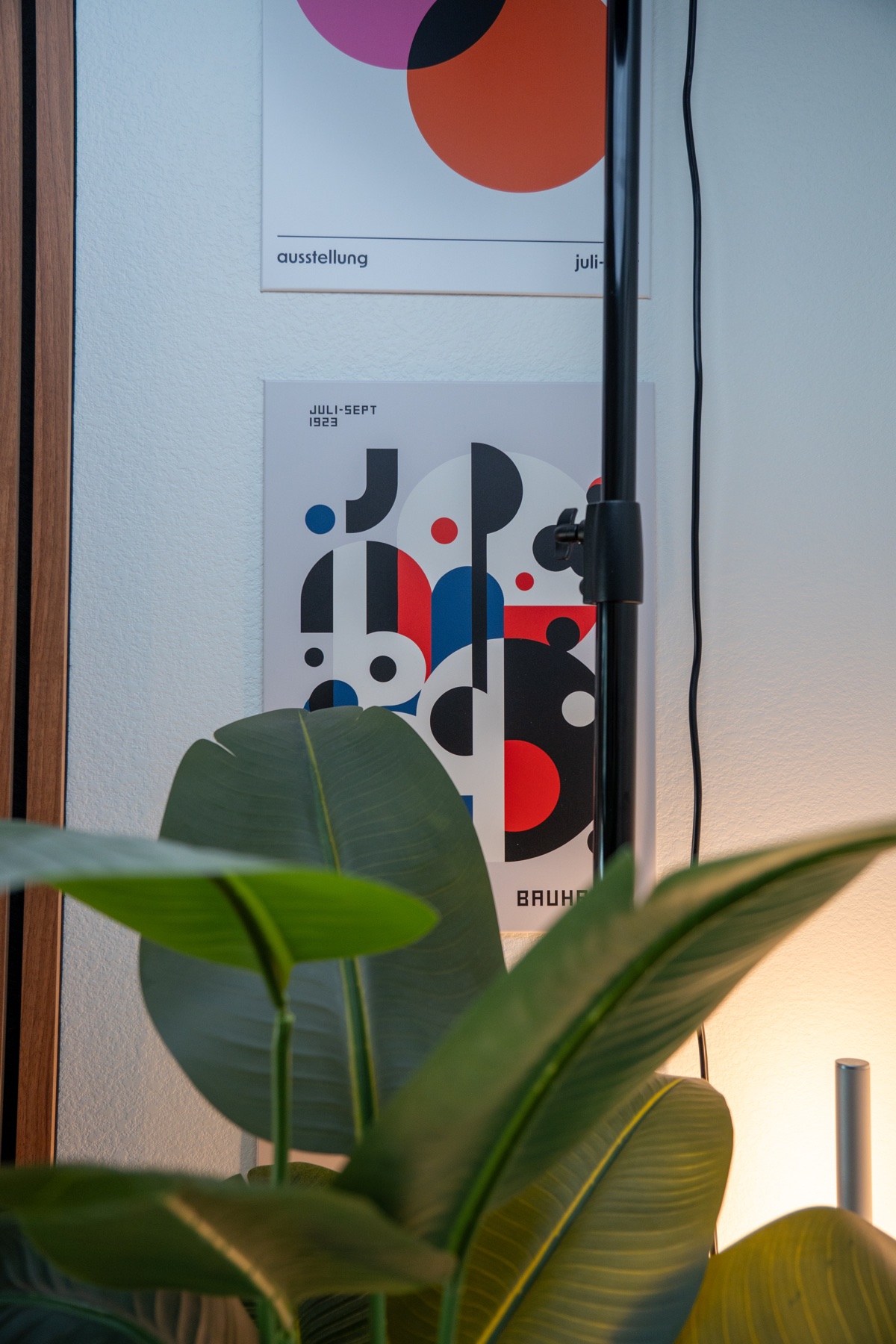 Graphic Displate artwork framed by plants and warm workspace lighting