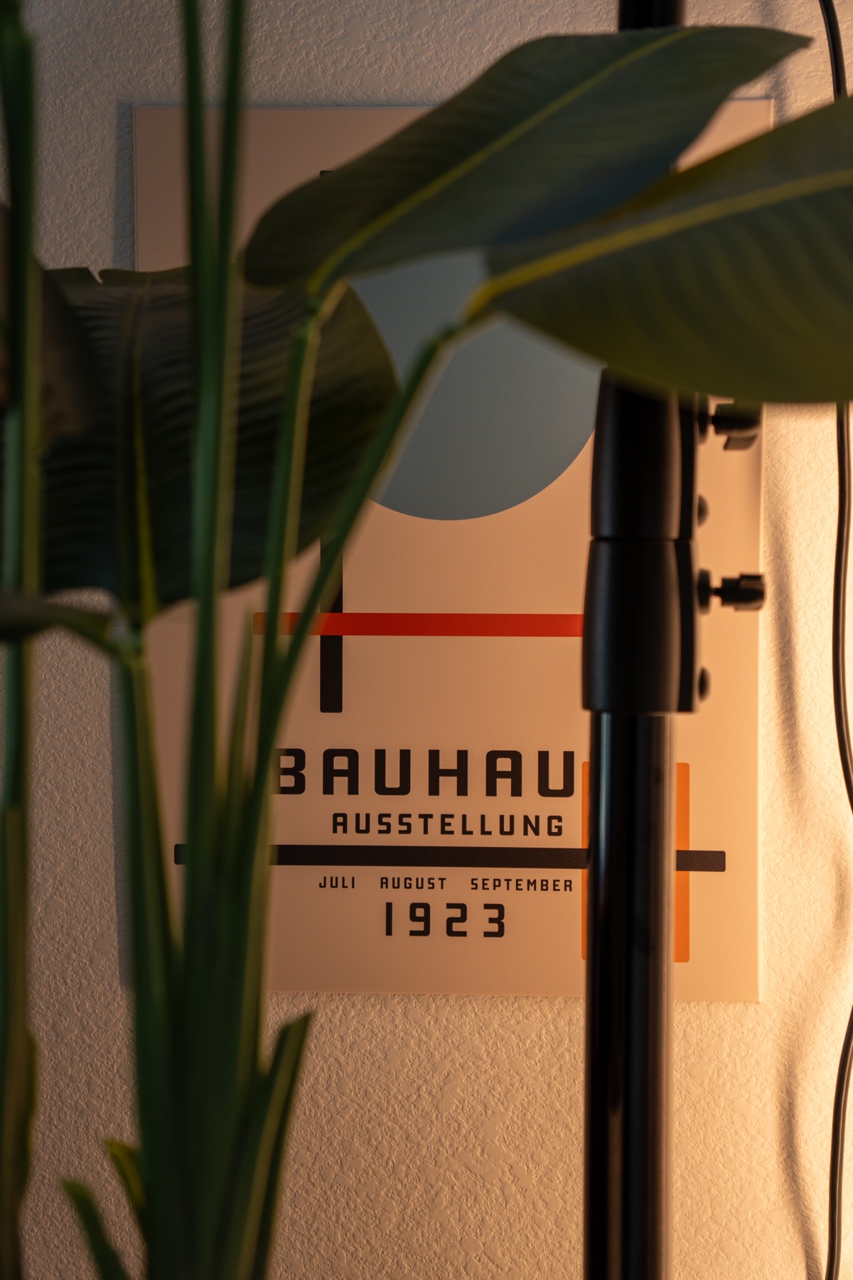 Bauhaus Displate artwork behind a plant in my workspace